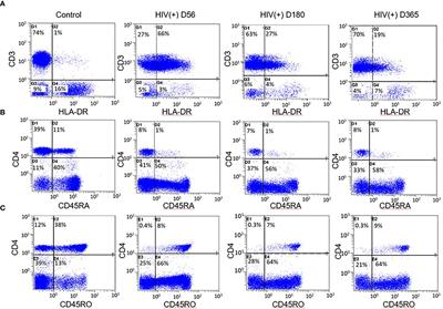 Immune Recovery Following Autologous Hematopoietic Stem Cell Transplantation in HIV-Related Lymphoma Patients on the BMT CTN 0803/AMC 071 Trial